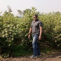 Gopal Gujar