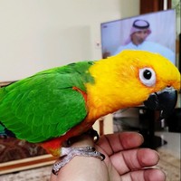 Abdulaziz Abdui