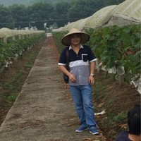 易晓林