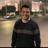 Mostafa Nagi