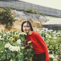 Thao Nguyen