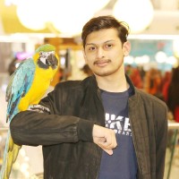 Tahir Bahoo