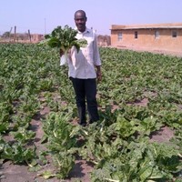Itumeleng Mathibe