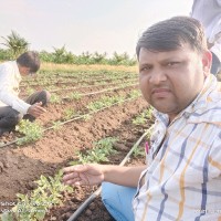 Goswami Pankaj