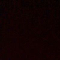 Netflix News Play