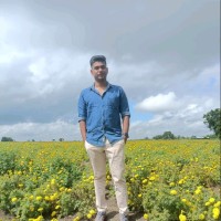 Vishnu P S