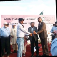 M Naveed Anjum