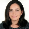 Seçil Akçay, PMP