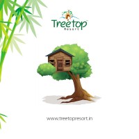 Tree Top