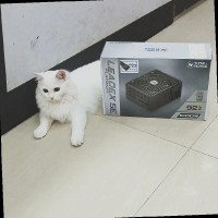 Niranjan Tech