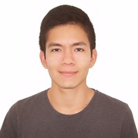 Alexis Valentino Vivanco Torre