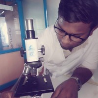 Naveen T