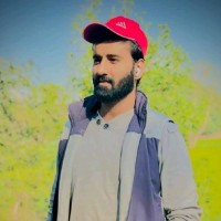 Numan Gondal