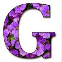 GARIMA B