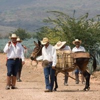 Raúl Gómez Hernández Gómez Hernändez