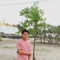 Wa Than