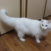 赵万军