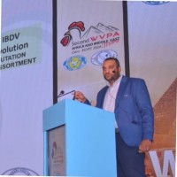 Waleed A. Ibrahim
