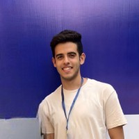 Ahmed M. Hany