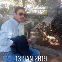 Polash Saikia