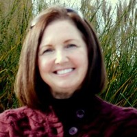 Jo Ann Wassink