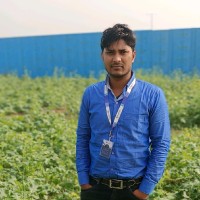 Pradeep Kumar Maurya