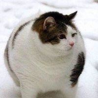 胡宇宁