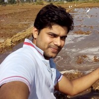 Vikas Dhull