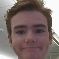 Tylor Krieger
