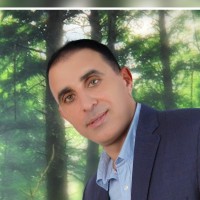 Abd-Alkader Alshoghri, P.Eng