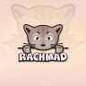 Mad Rc