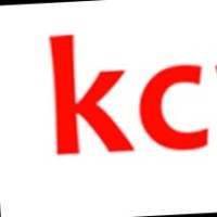 Yamini Kapil Consultancy