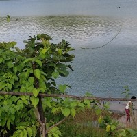 Tushar Maskar