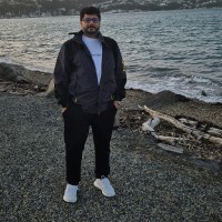 Hafiz Munaver