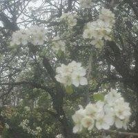 杨绍荣