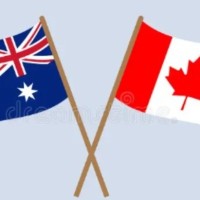 Immigration Consultant