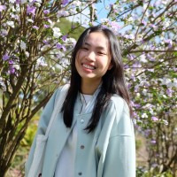 Thao Nguyen Bich