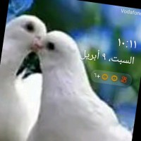 حماده أبو علام