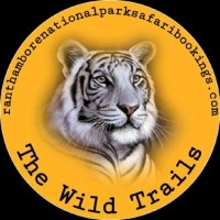 TheWildTrails Ranthambore