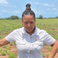 Noxolo Hlatshwayo