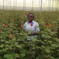 Sally Kosgei