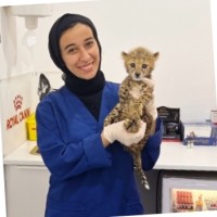 Jmnyar Amr