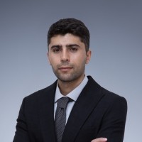Elsever Zulfi