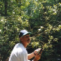 Bobby McHugh