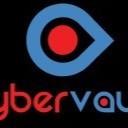Cybervault Securities