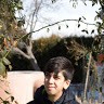 Ahmet Erikel