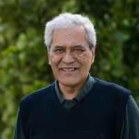 Wayne Mclean