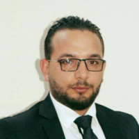mohamed amin frikha