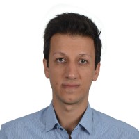 Ali Ansari