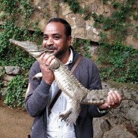 Anand Kumar Thakur